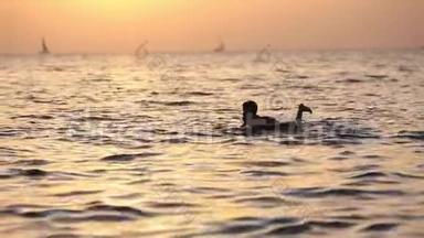 一个男孩漂浮在海面上的剪影，在橙色日落的极好背景上用冲浪板